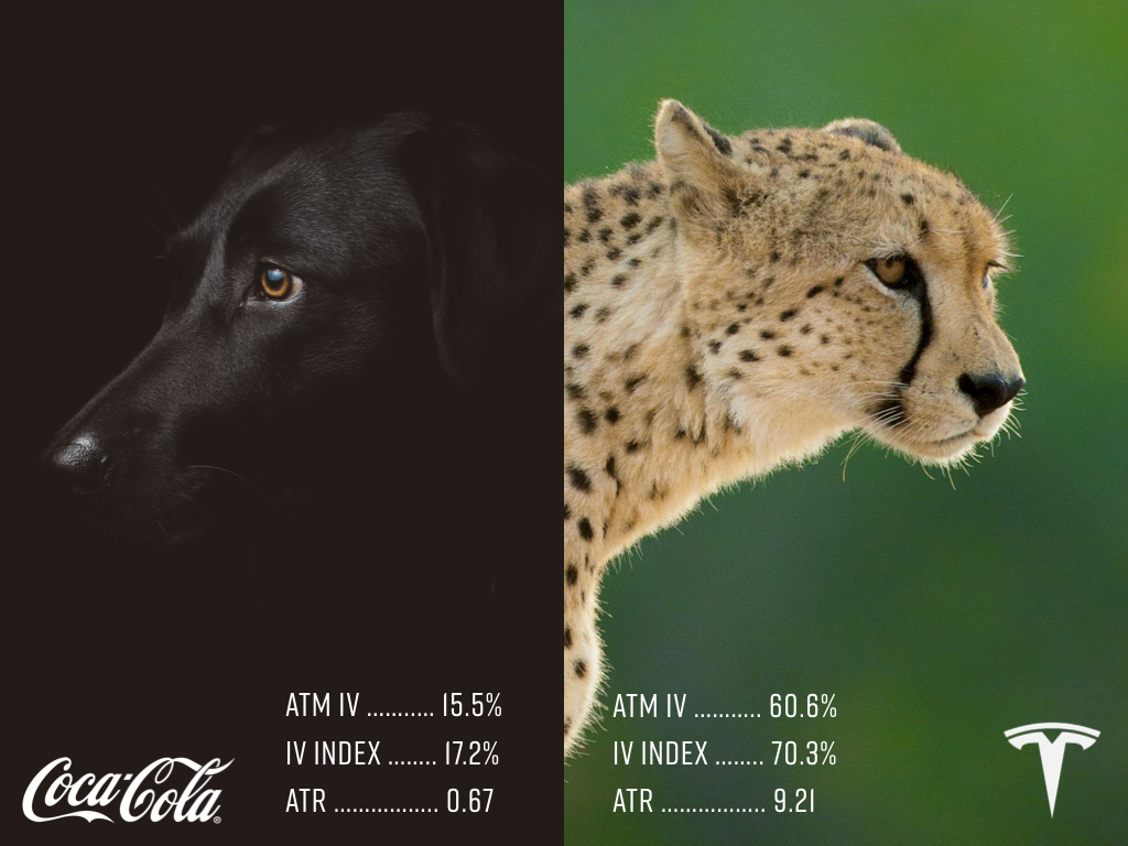 Chart of the Day: Pick your animal (TSLA vs. KO)