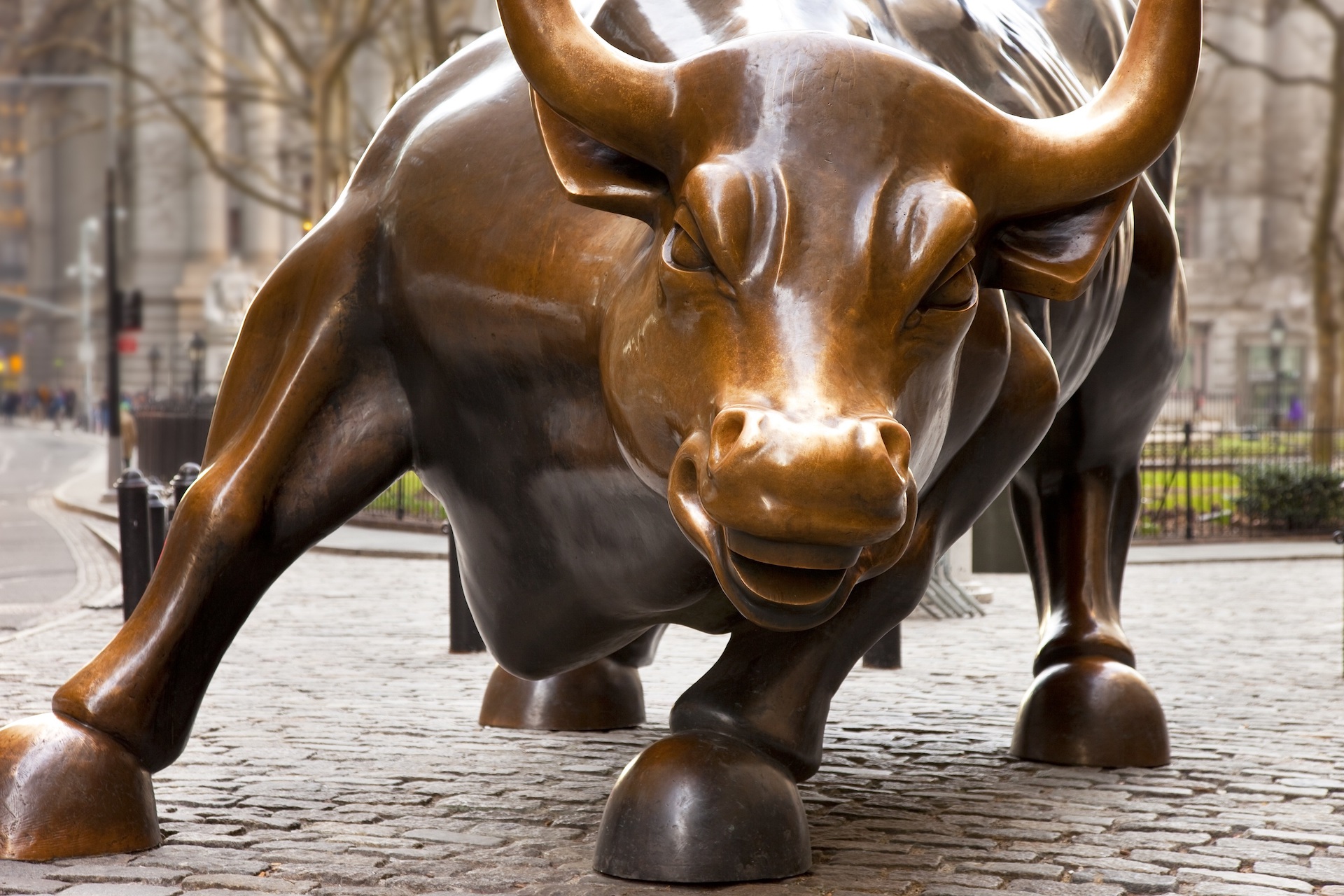Быки и медведи Wall Street