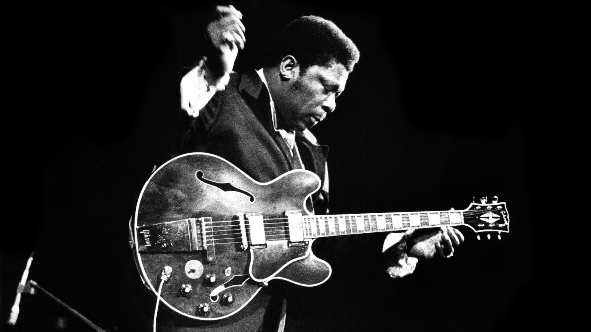 Tackle Today: What B.B. King has taught me about trading (B.B. King performs live at the Concertgebouw in Amsterdam, 1972 by Gijsbert Hanekroot-Redferns)