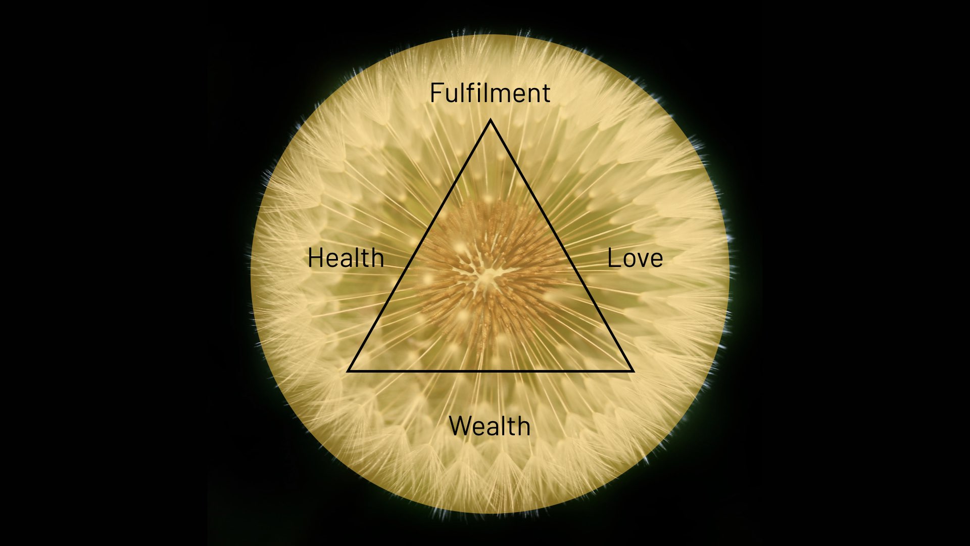 Circle of Life, Wealth and Fulfillment (Background photo by olena ivanova on Unsplash)