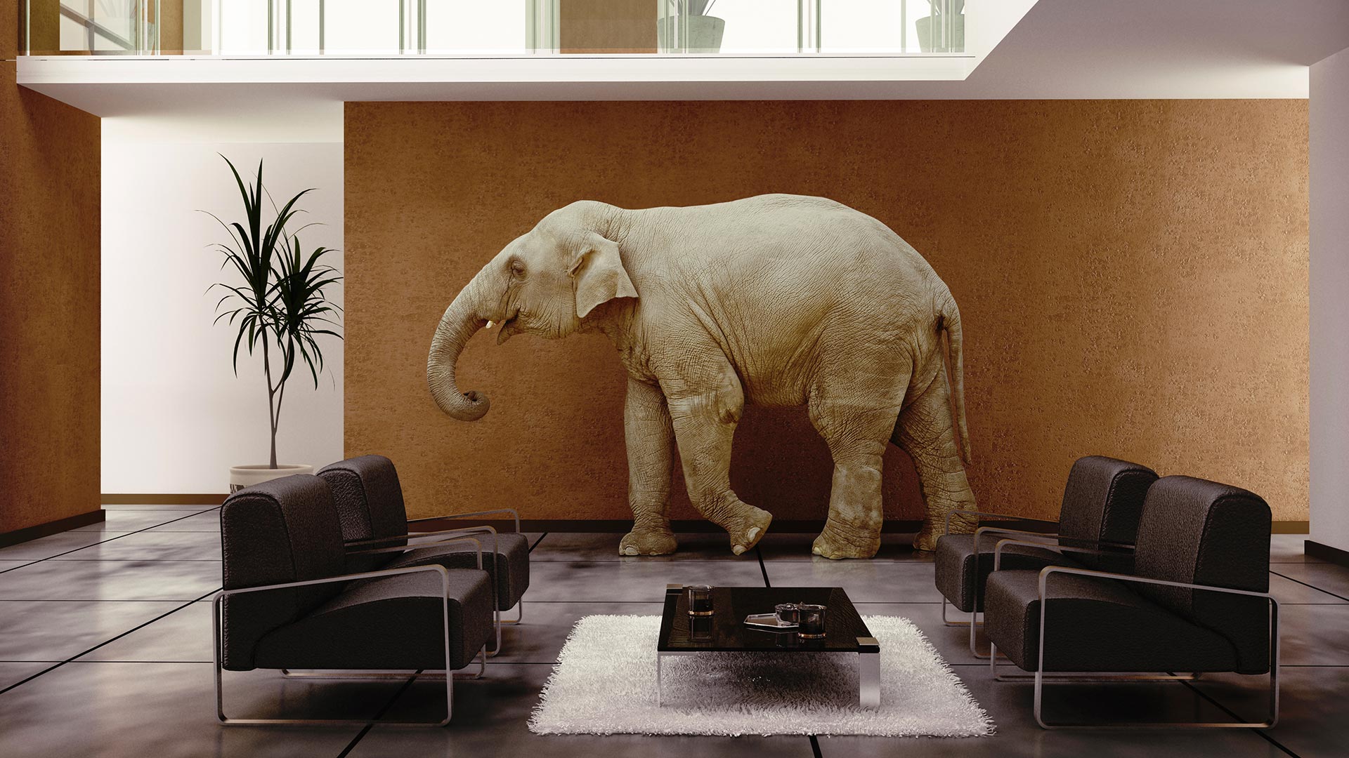 Tackle-Today-The-Elephant-in-the-Room